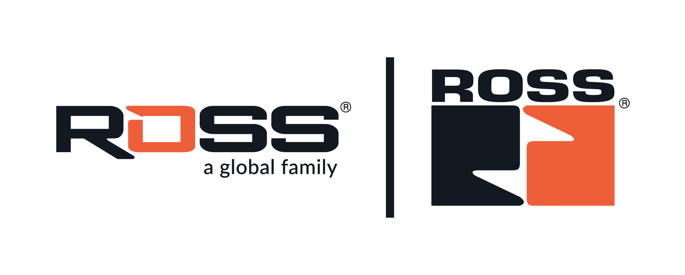 ross controls india